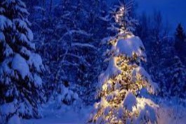 как Дед Мороз на Свет Появился