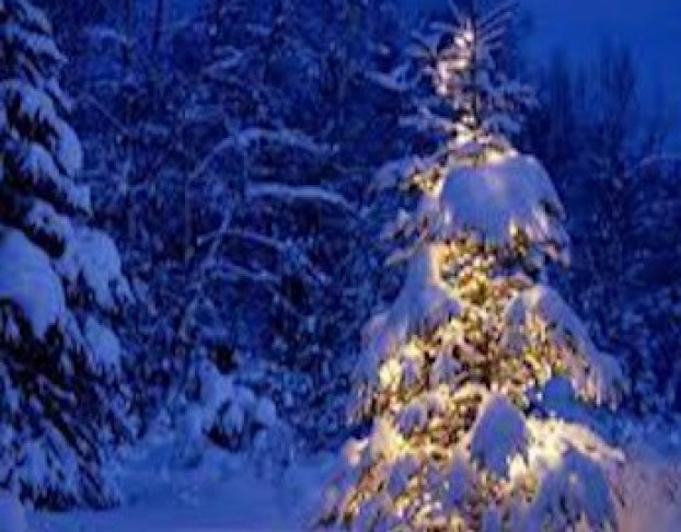 как Дед Мороз на Свет Появился