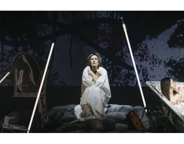 Дорогая Елена Сергеевна