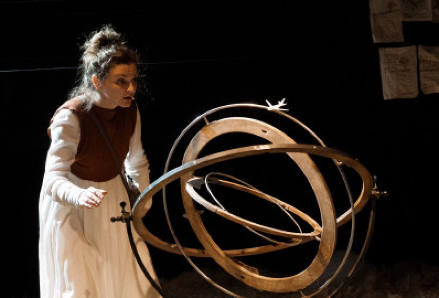 Дневник Ласточки