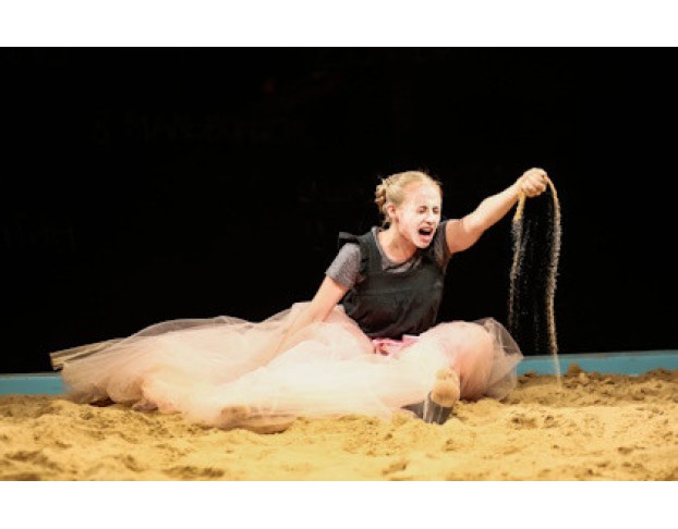 Двенадцатая Ночь, или как Угодно