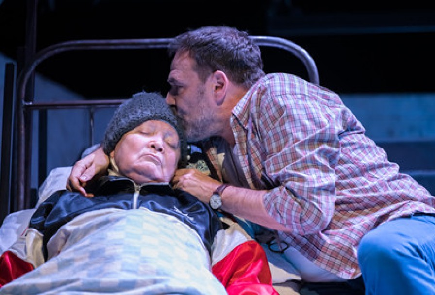 как Зоя Гусей Кормила