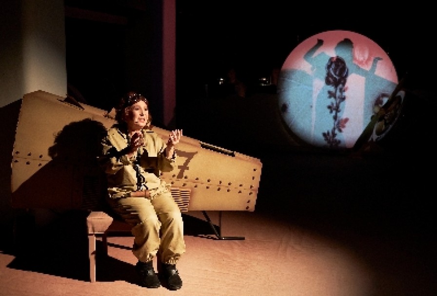 Маленький Принц. Полёт в Одном Действии