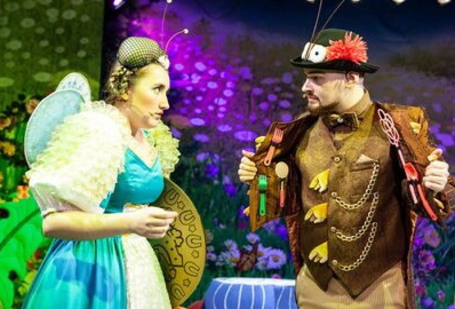 День Рождения Мухи