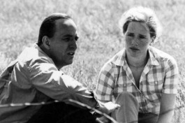 Сцены из Супружеской Жизни