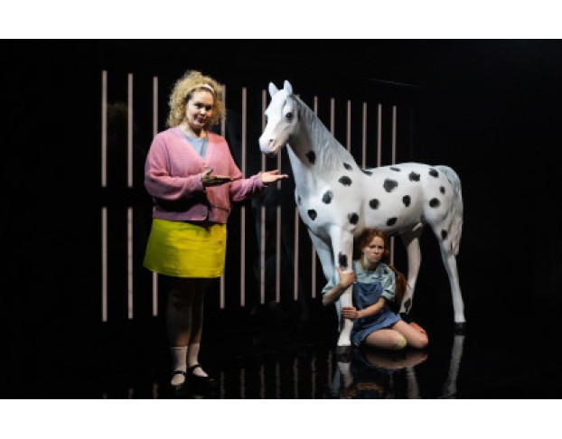 Здравствуйте, Астрид