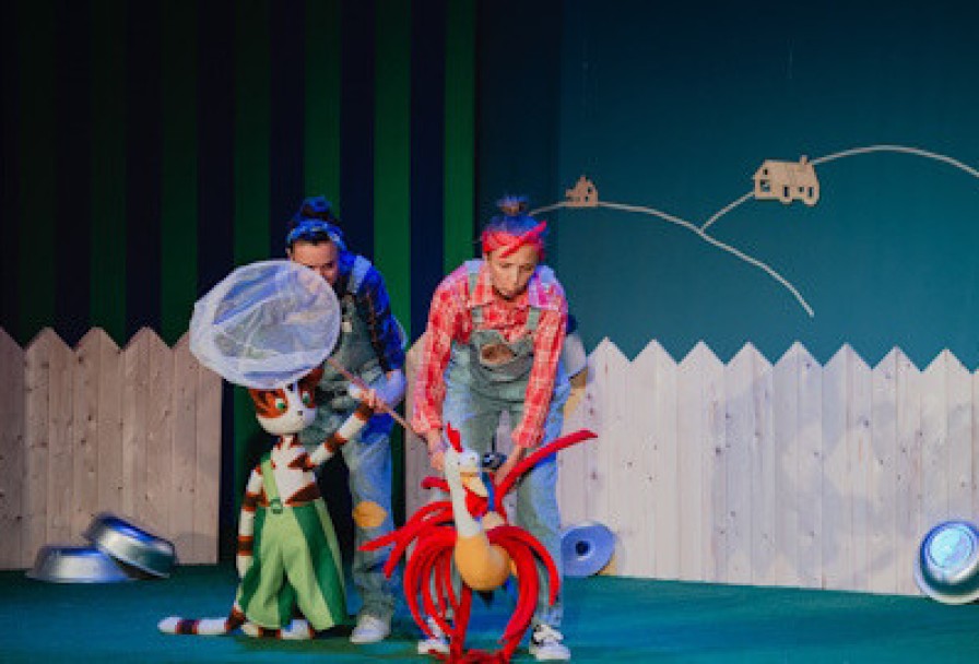 Петсон и Финдус. а где же Юсси? Театр Комикс