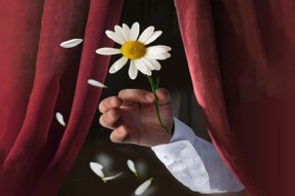 Беда от Нежного Сердца