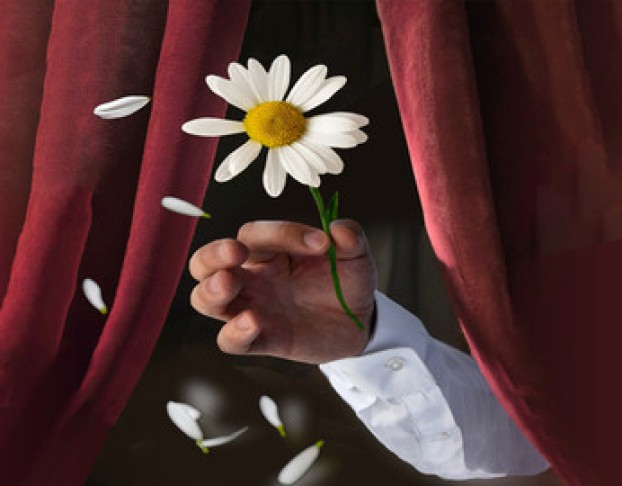 Беда от Нежного Сердца