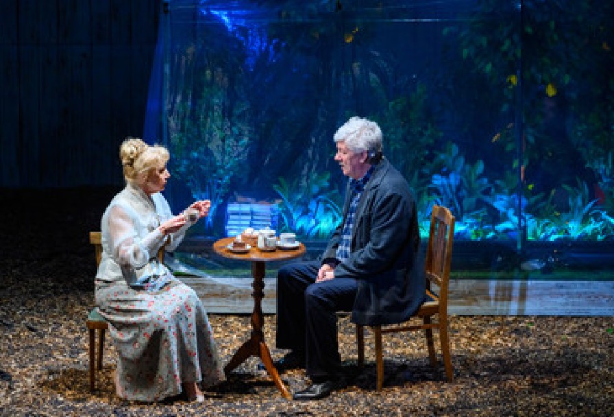 Земля Эльзы