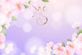 Ради Женщин