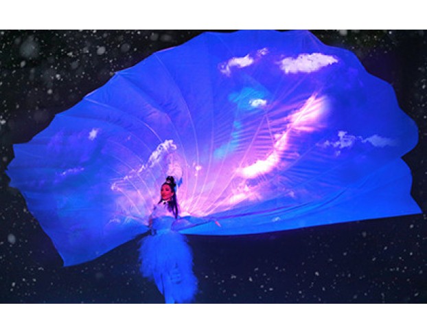 Тайна Зеркальных Иллюзий. Ремейк Новогоднего Шоу Тайна Лунозавра