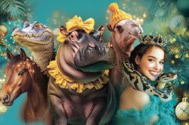 Новогоднее Тропик-Шоу