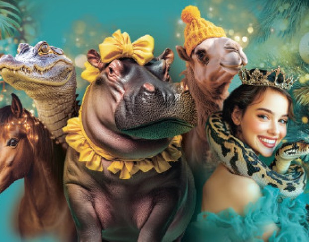 Новогоднее Тропик-Шоу