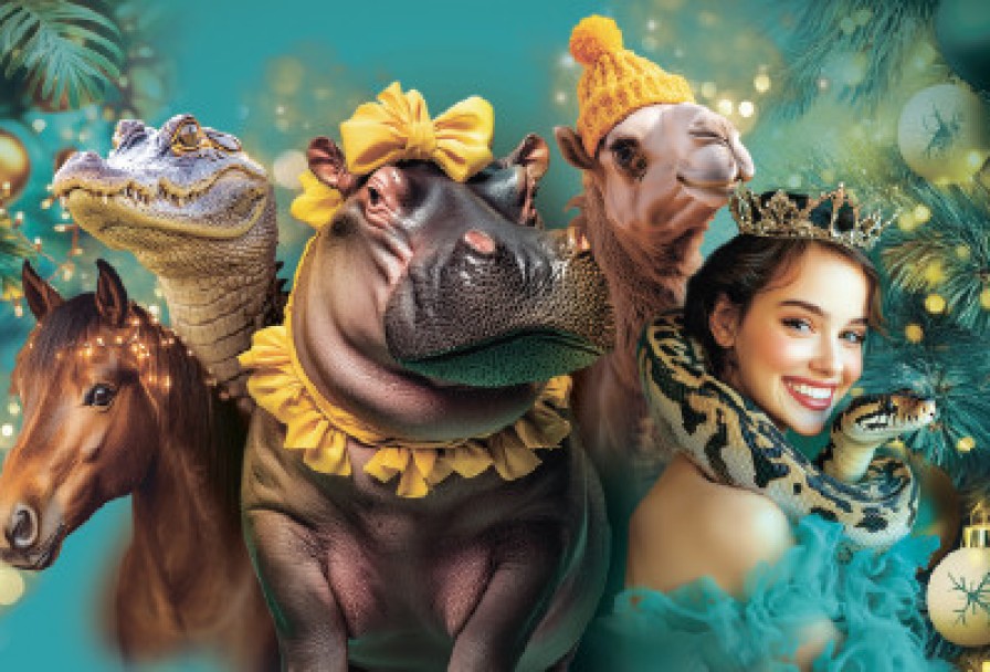 Новогоднее Тропик-Шоу