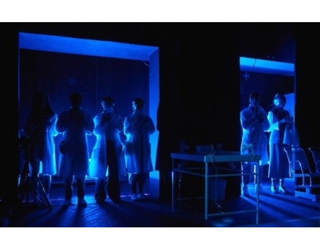 Доклад о Медузах