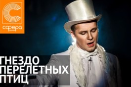 Гнездо Перелётных Птиц