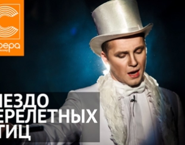 Гнездо Перелётных Птиц