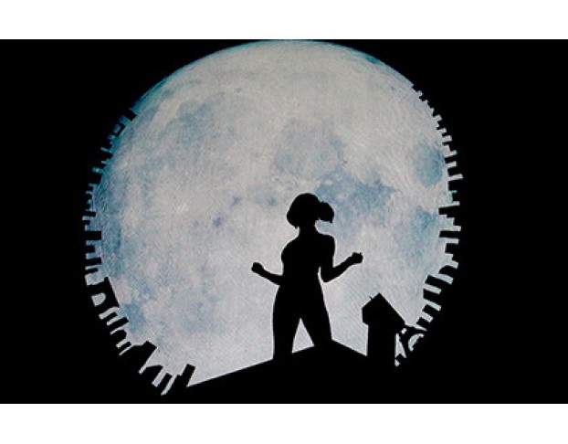 Леди Баг и Супер Кот