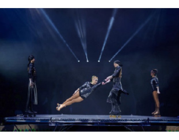 Новогоднее Тропик-Шоу