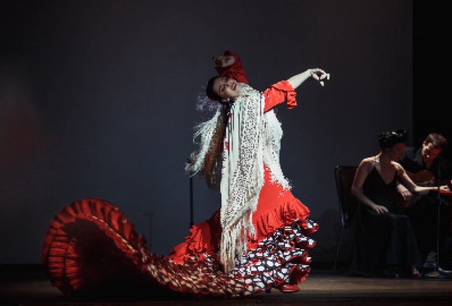 Кармен. Фламенко