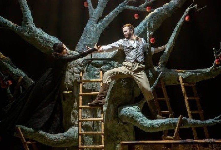 Касатка. Новый Полет