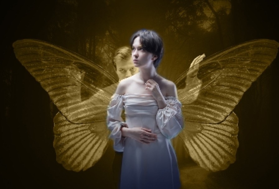 Коллекционер