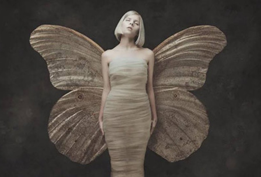 Коллекционер