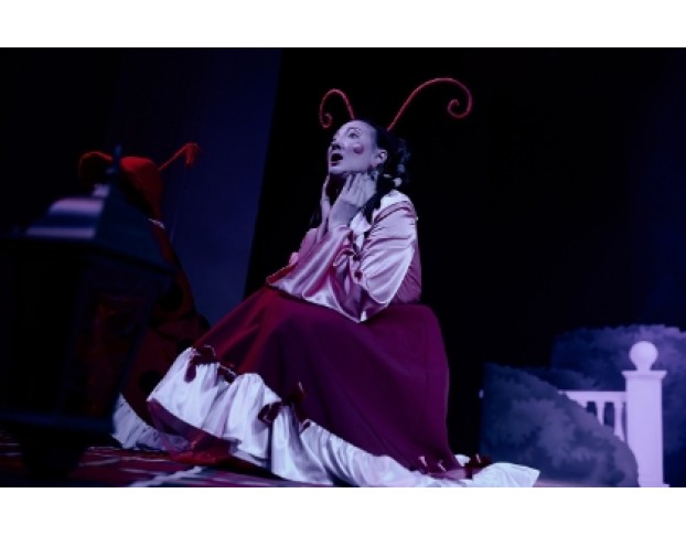 Муха-Цокотуха