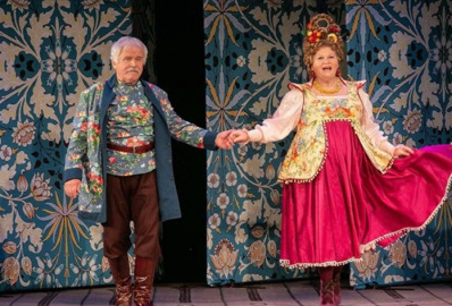 не в Свои Сани не Садись