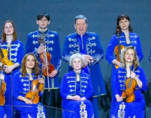 Новогодняя Котовасия