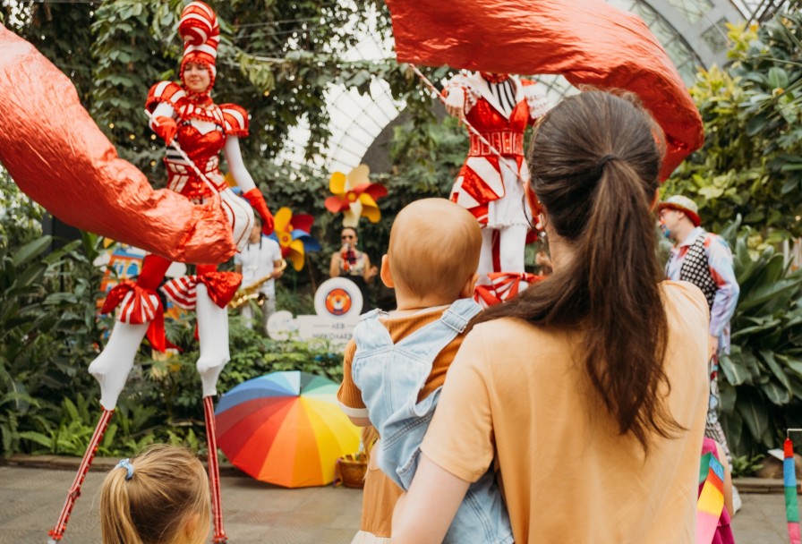 Рок-Н-Ролл для Малышей и Родителей в Оранжерее