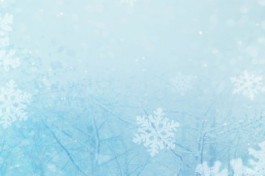 Рождественское Ледовое Шоу Снегурочка