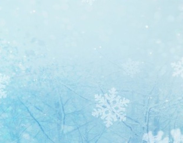 Рождественское Ледовое Шоу Снегурочка