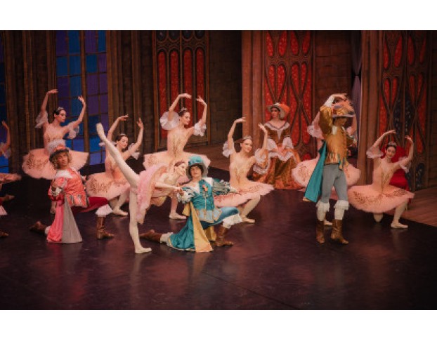 Спящая Красавица