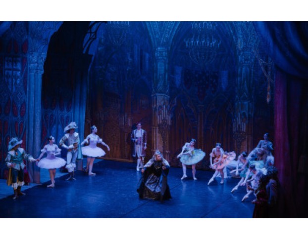 Спящая Красавица