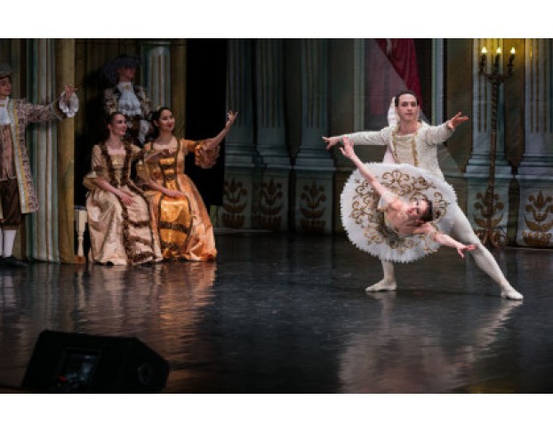 Спящая Красавица