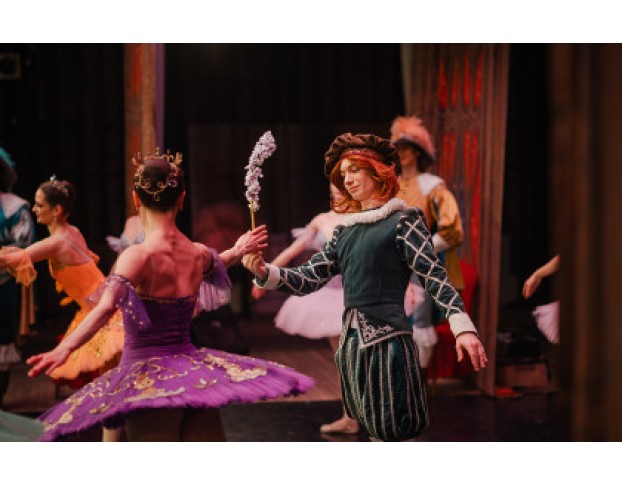 Спящая Красавица