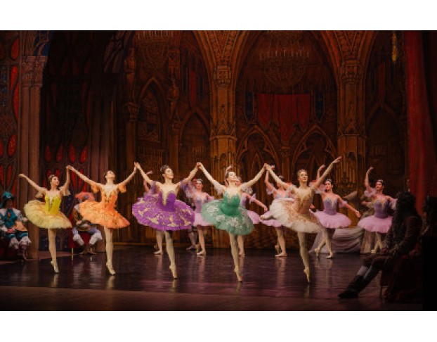 Спящая Красавица