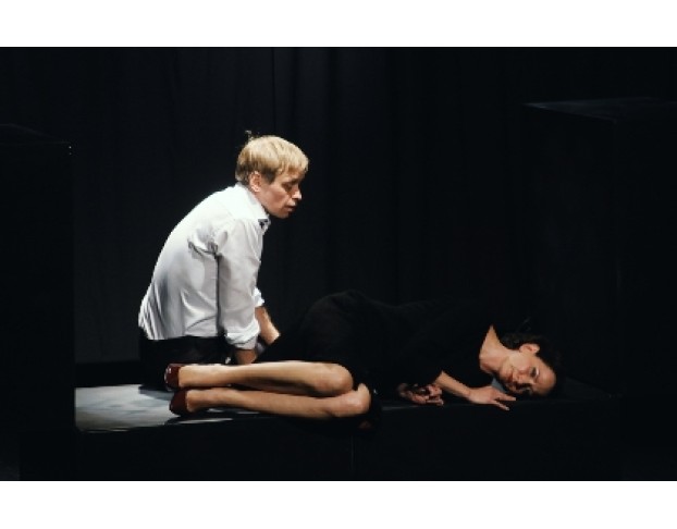 Сцены из Супружеской Жизни