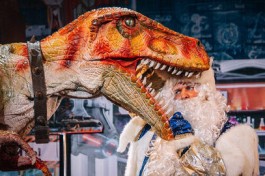 Тайна Великих Открытий