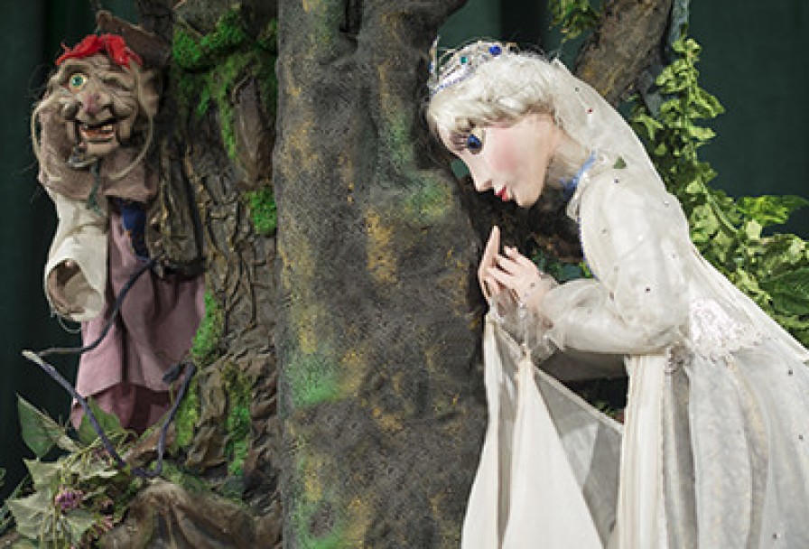 Царевна Лягушка