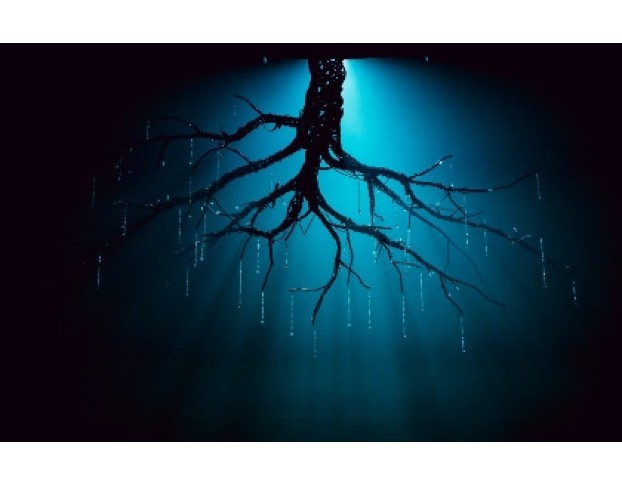 Укрощение Строптивой