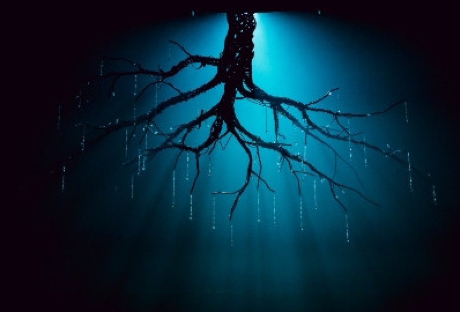 Укрощение Строптивой