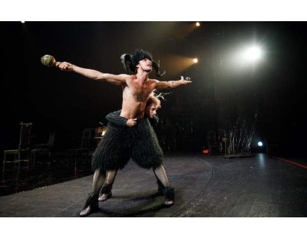 Укрощение Строптивой