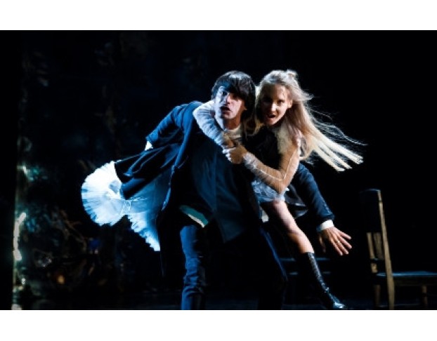 Укрощение Строптивой