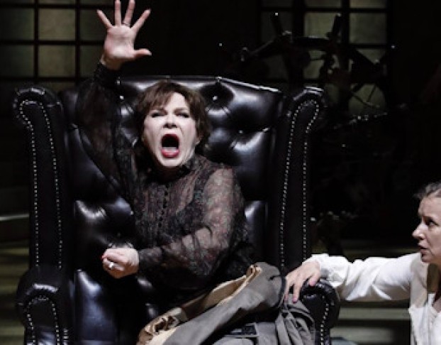 Васса Железнова