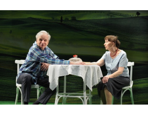 Земля Эльзы