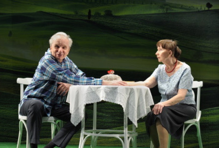 Земля Эльзы