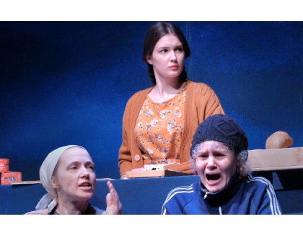 Земля Эльзы